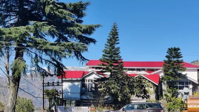 Ecstasy Farms Manola