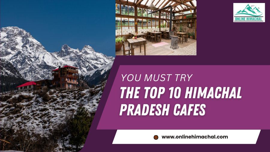 You Must Try the Top 10 Cafes in Himachal Pradesh