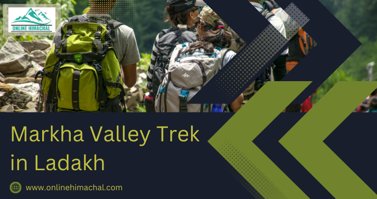 Markha Valley Trek in Ladakh