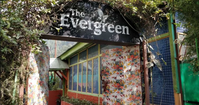 The Evergreen, Kasol