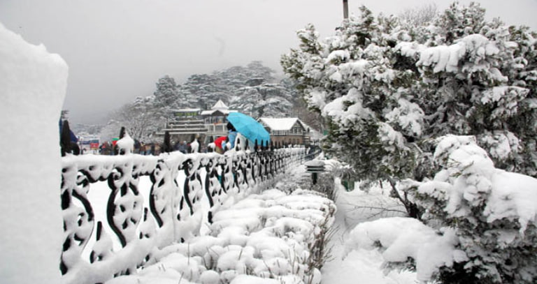 Kufri Himachal Pradesh