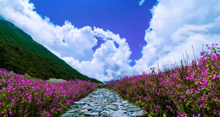 Nanda Devi National Park