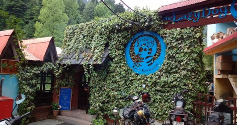 The Lazy Dog Lounge, Manali