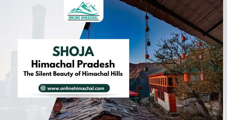 Shoja, Himachal Pradesh The Silent Beauty of Himachal Hills