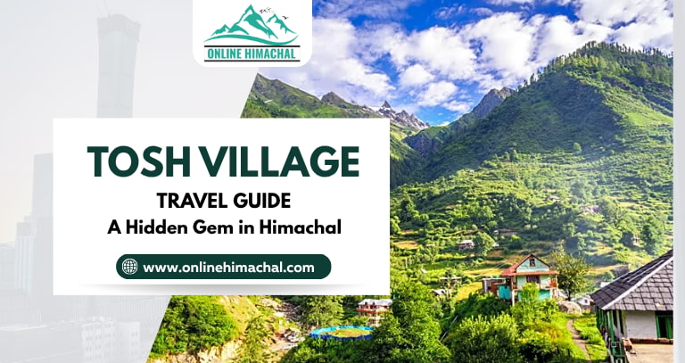 Tosh Village Travel Guide – A Hidden Gem in Himachal