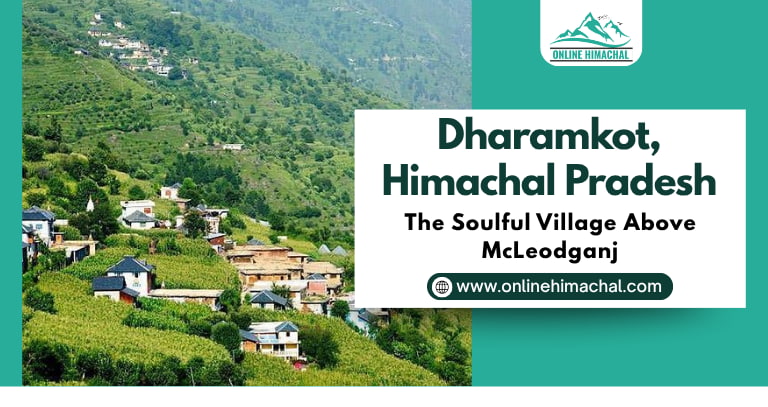 Dharamkot, Himachal Pradesh – The Soulful Village Above McLeodganj