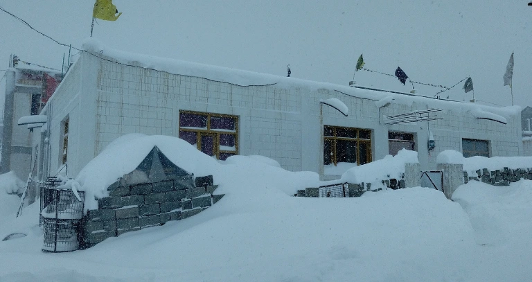 Palcchen honesty in Kaza