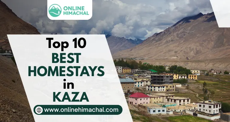 Top 10 Best Homestays in Kaza
