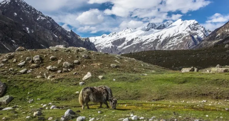 Miyar Valley