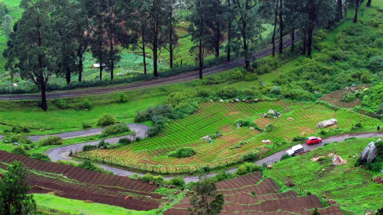 _Ooty, Tamil Nadu (1)