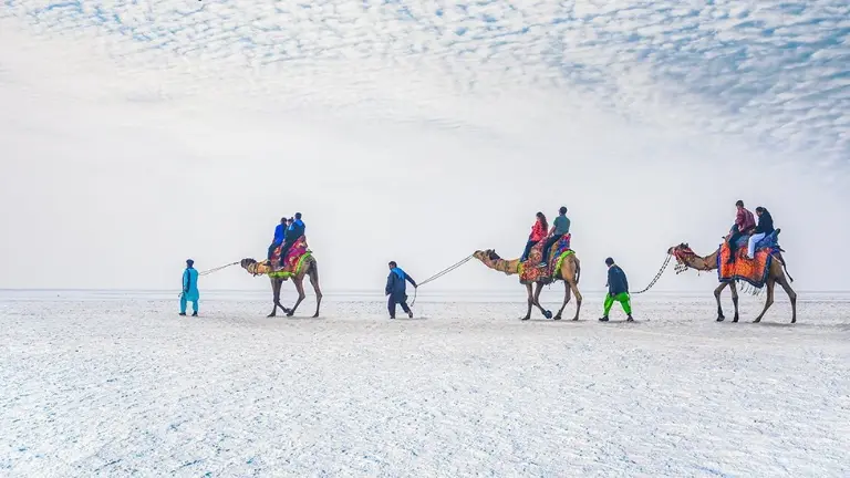 Rann of Kutch, Gujarat