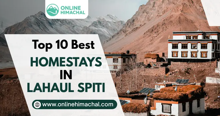Top 10 Best Homestays in Lahaul Spiti