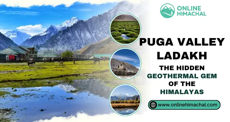 Puga Valley, Ladakh The Hidden Geothermal Gem of the Himalayas