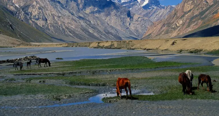 Nearby Attractions of Shinkula Pass