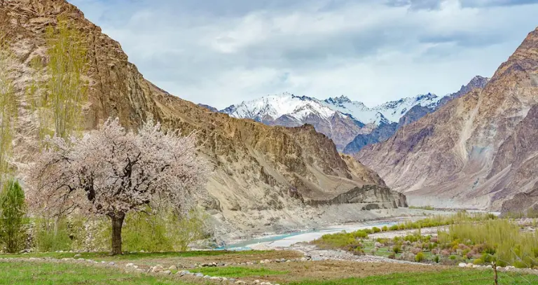 Things to Do Near Shinkula Pass