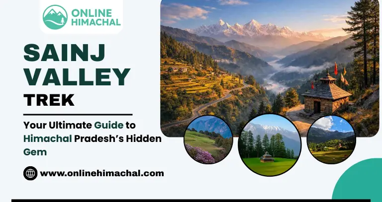 Sainj Valley Trek Your Ultimate Guide to Himachal Pradesh’s Hidden Gem
