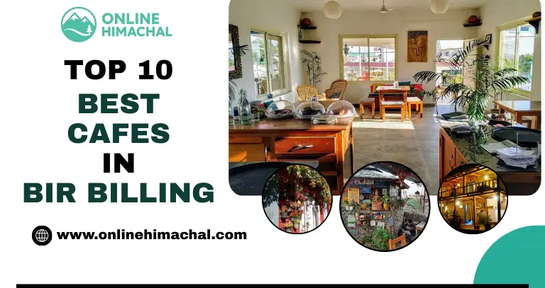 Top 10 Best Cafes in Bir Billing