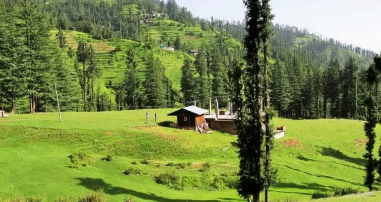 Top 5 Nearby Attractions of Janjehli Valley
