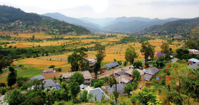 Best Time to Visit Karsog Valley