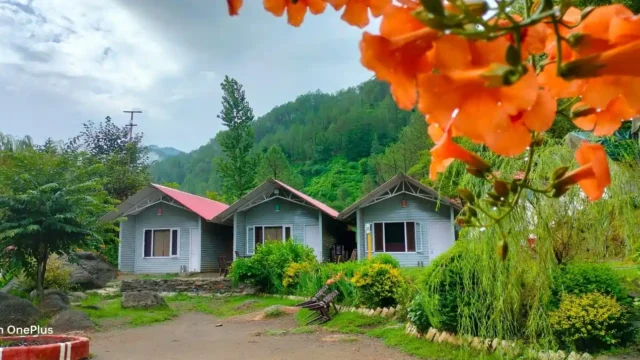 Camp Peach Valley - Outside View