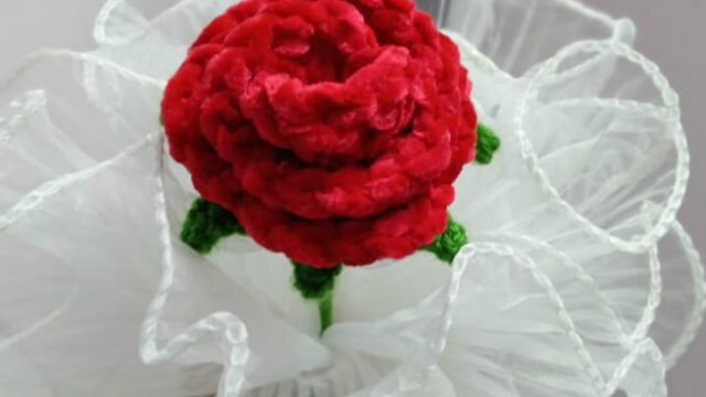 Crochet with Tejal - Rose