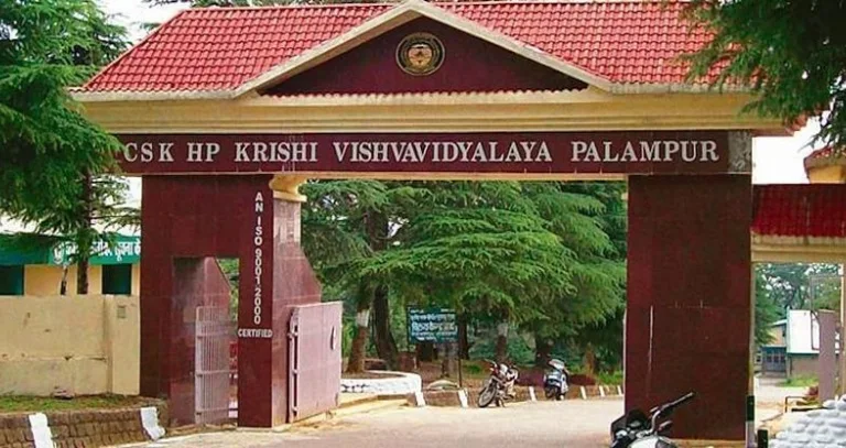 Guru Vidhya (Palampur)