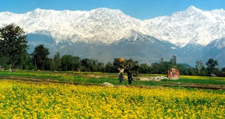 Kangra Valley