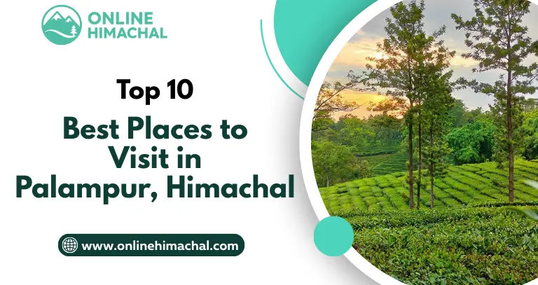 Top 10 Best Places to Visit in Palampur, Himachal