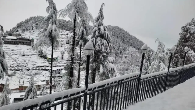 Hotel Full Moon Night