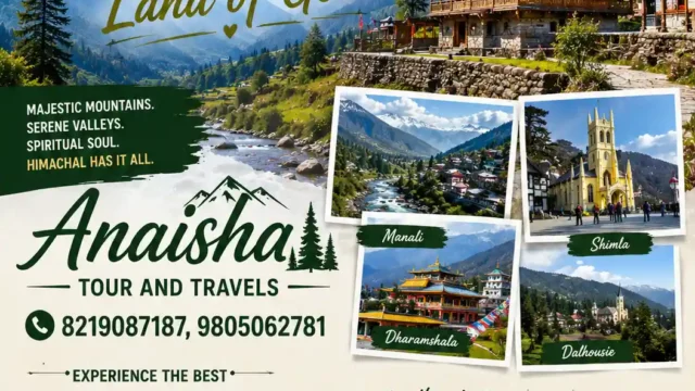 Anaisha Tour & Travel