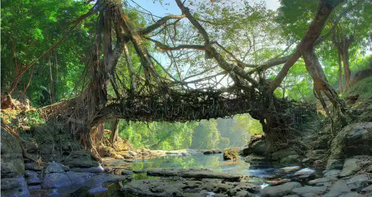 Mawlynnong, Meghalaya