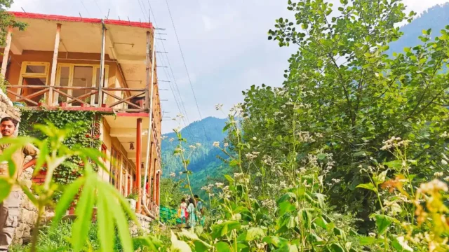 Tulsi Homestay