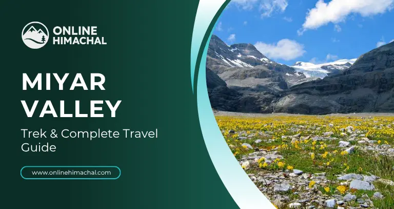 Miyar Valley Trek & Complete Travel Guide