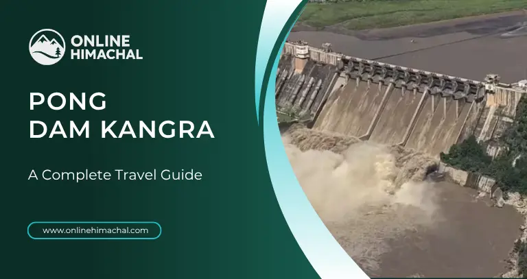 Pong Dam Kangra Complete Travel Guide