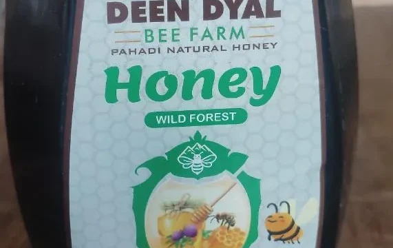Deen Dayal Bee Farm pure honey