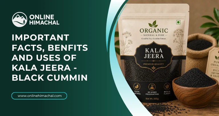 Important facts, benfits and uses of Kala Jeera